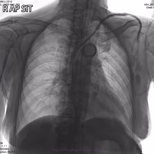 Item #67100036908272195691370307959493253727709016512605431392120687097848421941249 Media