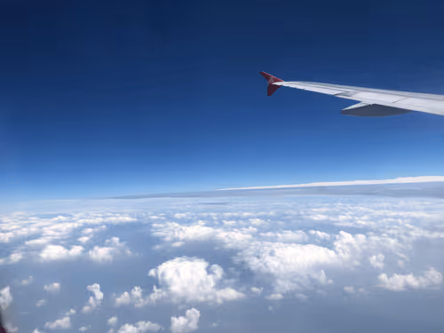 Untitled Collection #74231274