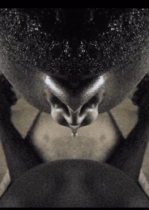 Item #74199556100391556407174861012270333336882877091877816764850667376324082925569 Media