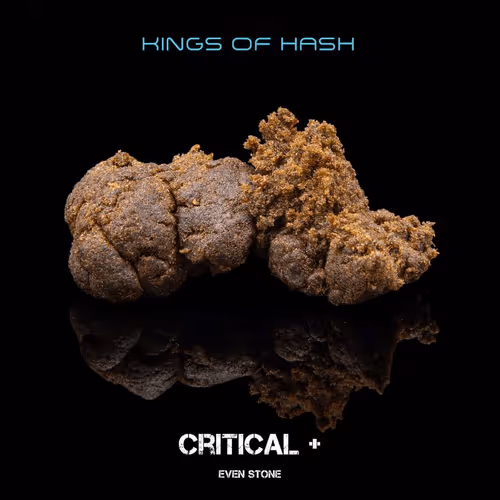 Item #11778203385861347349275345224081259991327063537749380274759322620756616019969 Media