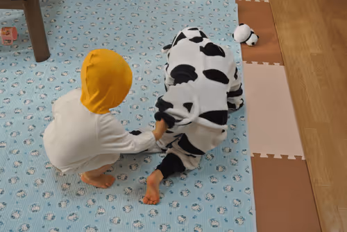 chiruno2000 Collection