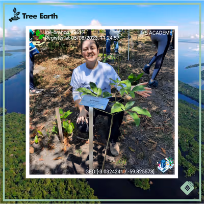 Item #8500196597889277390194123329501889087166328879864934763448349382268220866561 Media