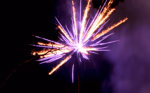 Item #66287107933414317534982190066107327807963903563540774280285349303317537226753 Media