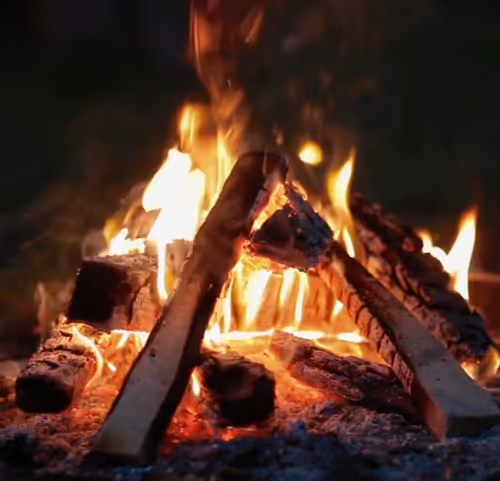 Item #74252120633351365565705704202132662314461250521521811748706606718575439773697 Media