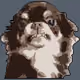 109619637282591244931637372177598932154231905636537961772483178386736988291073