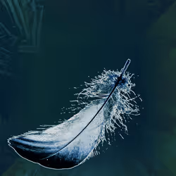 72932321608233697749117711298000337470595698923978217717692158340714454843393