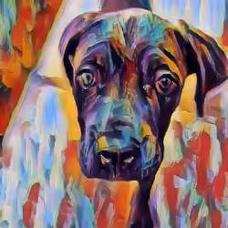 The Pup 5
