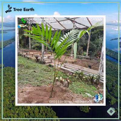 Item #8500196597889277390194123329501889087166328879864934763448349363576523194369 Media