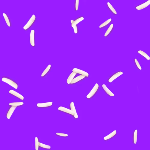 Ricegrains Zip7F9vsae