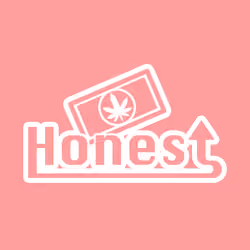 Pink Panest Box Logo