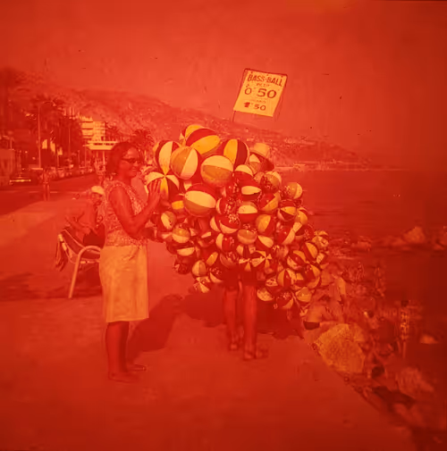 Item #99229842247812193492092246635526113316383887000586294441888985097611281170433 Media