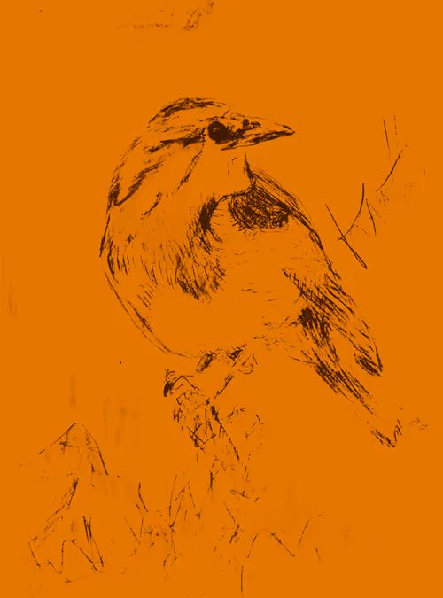 Item #70237680644106249180935159954231854983075173526295078316236089467583212814353 Media