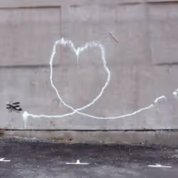 44780268195173871161572035472768948089987869065093867251645781054393572917258