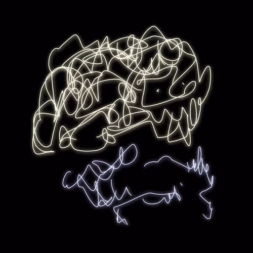 64696371206427539976312525248927971470154921462891333543195763597652363575301