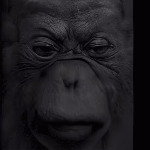 Item #98771142752491223589029056332849600761606894318122094950927074974175485493249 Media