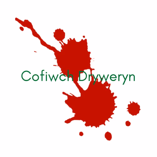 Cofiwch Dryweryn! ‘Remember Tryweryn’