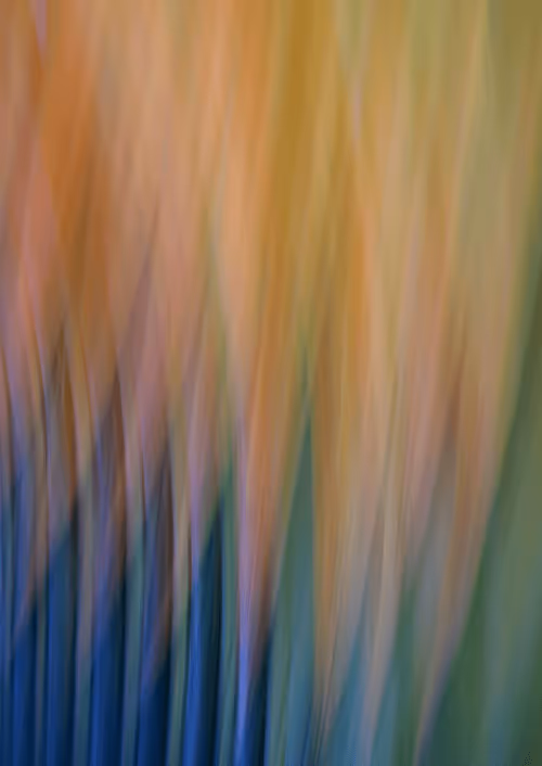 Item #23265726314410109476129301555838572111439838682222879854994044932521468100609 Media