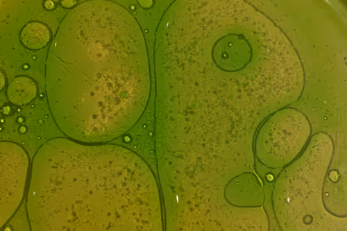 Item #25248765690261585435434482314818899014355955401617162377978101865003695996929 Media