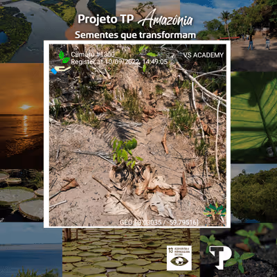 Item #8500196597889277390194123329501889087166328879864934763448348982045988356097 Media