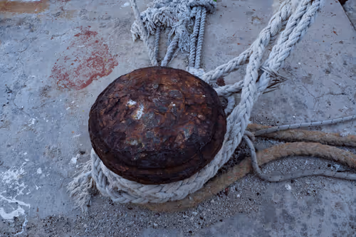 Item #99206175731752603969632246751396839615347692654100145142238794281902386708483 Media