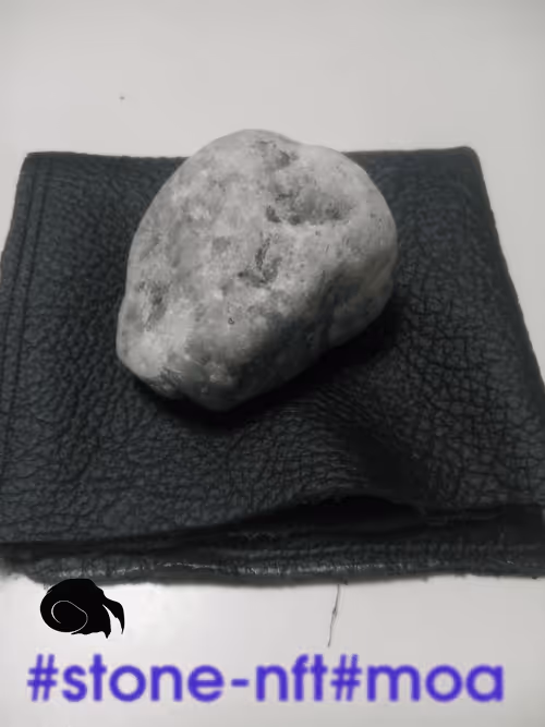 Item #39300762149490396692697572231877553287408964579482102997533753802661033934849 Media