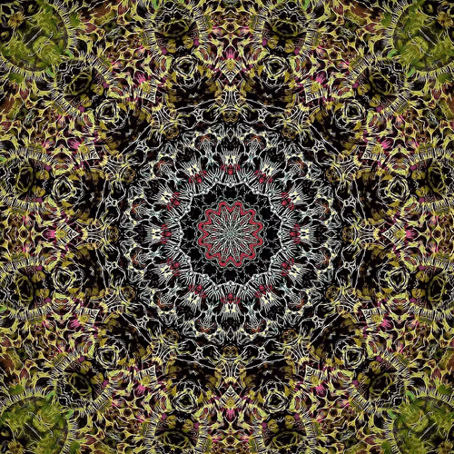 Item #111492985383227033262719650763584555326075993701282511122795956161098048077857 Media