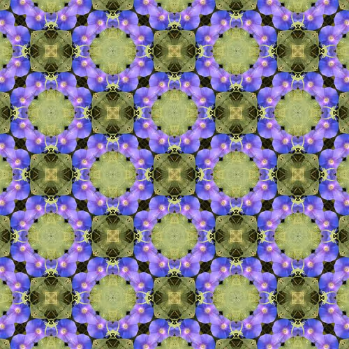 Item #6433145344357846162791911181755432553869208007973331734559158626871018520577 Media