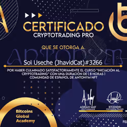Certificado BGA Antonym NFTs