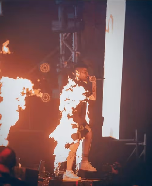 Item #67776082585644528209900532794408218362387997013150841309248453582369442496513 Media