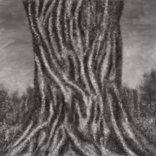 Item #74277105166926401675648590500167077095239870897579205430653654842879766429697 Media