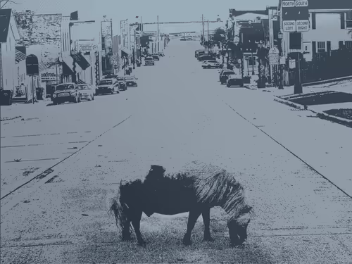 Item #111652930109264043611935341067736255756439208084570795366540966570957119422465 Media