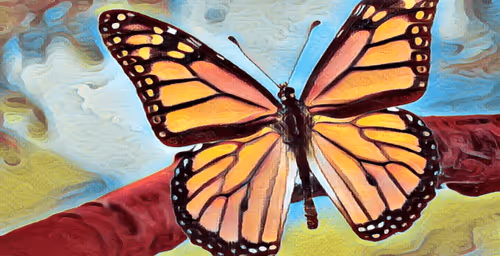 Item #5268166588450870648624449421433370993939742768172324454239271393306660044801 Media