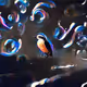 26077321833362398347650066120756450720302100595654980500401376504255808012289