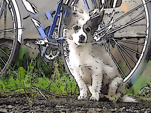 Item #100699266862010265980474664760375873767511284921164942724068627956356287037540 Media