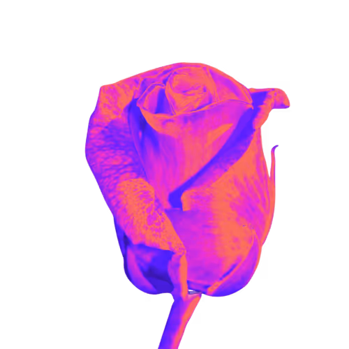Item #62176816171764514073254523730896092942255356252492158176590186353773022019585 Media