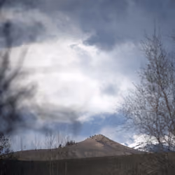 Signal Peak