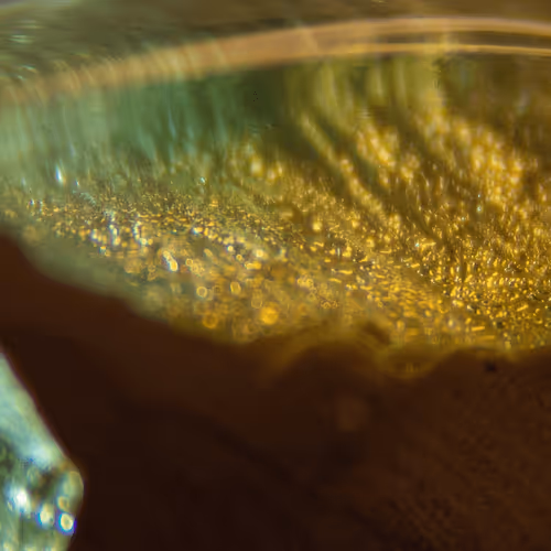 Item #8251270981130702250905355697814279819197198943221984468281114978874692730881 Media