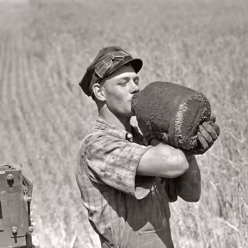 Item #32000974469965393390490201981264320242865717483656495586144324998511768633345 Media