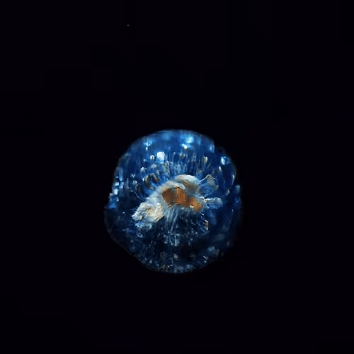 Item #4750064852715738149564930854294668621974194112560083604087540723747452354561 Media