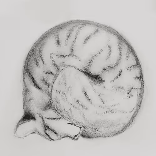 Item #38103010869017264275268856103219652629034188725023547891382180281042985811969 Media