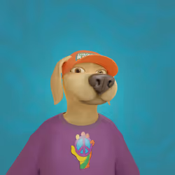 111350517506525478210208214069559648210677222582409858477624723531575444111361