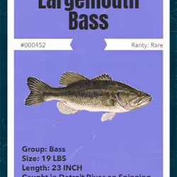 43502264269384842523243150070095810631836830099831581701628992086801362452481