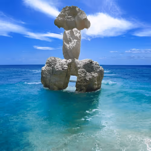 Item #16357330130632681977520442424121315022742407279237127366552438135469526482945 Media