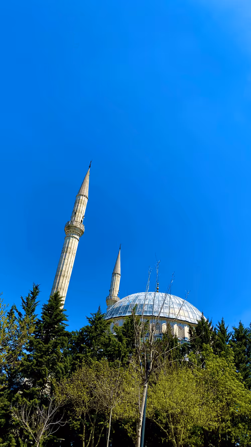 Item #57164340370605487482771130434956821177092171765090651853542028305499118632961 Media