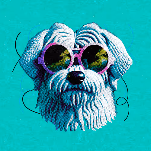 Item #12360769938707815974161893211361559841410234685717889342779814570024448819205 Media