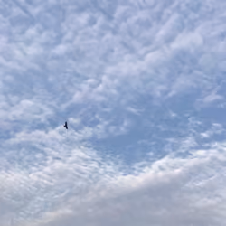 morning sky#004