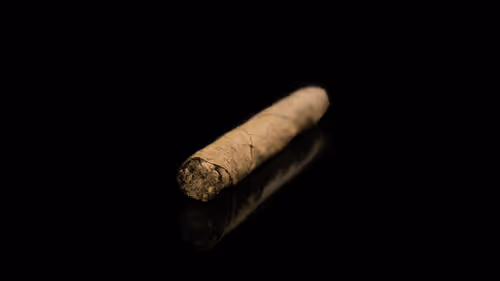 Untitled Collection #131241295