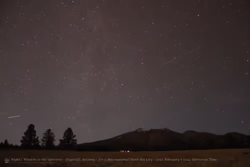 Item #54486885148920100119398047411720226063386543075885565181202097488054175399937 Media