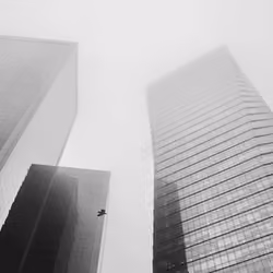 FOG #1