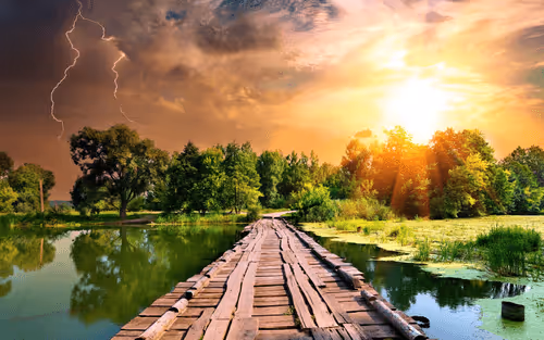 Item #10009359903282094537398543197541078073067770590855434614987939985531779153930 Media